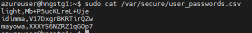 Terminal output of the generated password file, one comma-separated username and password per created user
