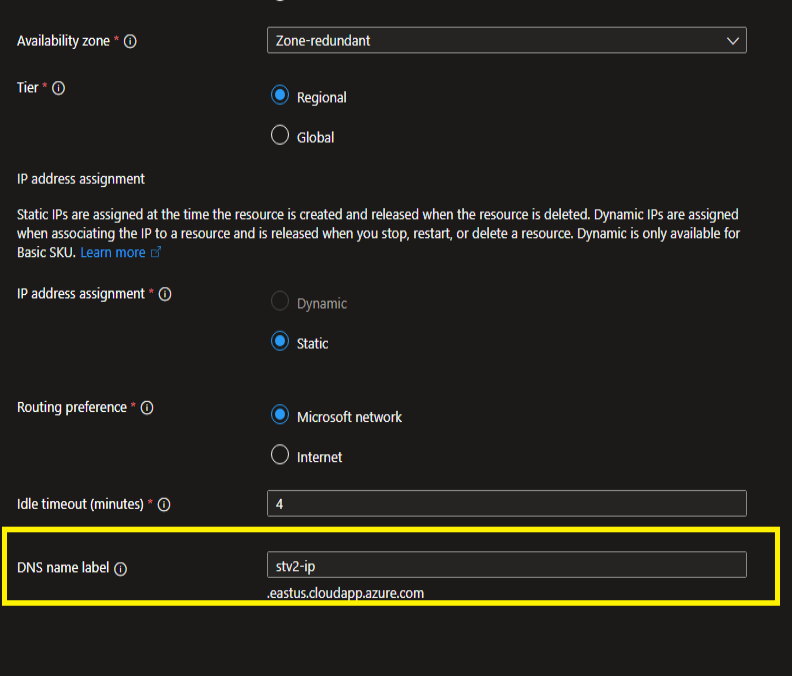 Lower half of the public IP form, with static IP assignment, Microsoft network routing, and the DNS name label set to stv2-ip highlighted